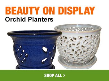 BEAUTY ON DISPLAY Orchid Planters SHOP ALL