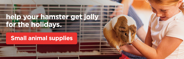 Help your hamster get jolly for the holidays. Small animal supplies. 