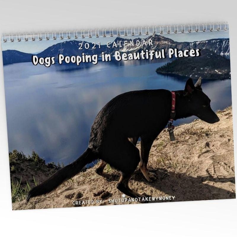 Image of Dogs Pooping in Beautiful Places 2021 Calendar