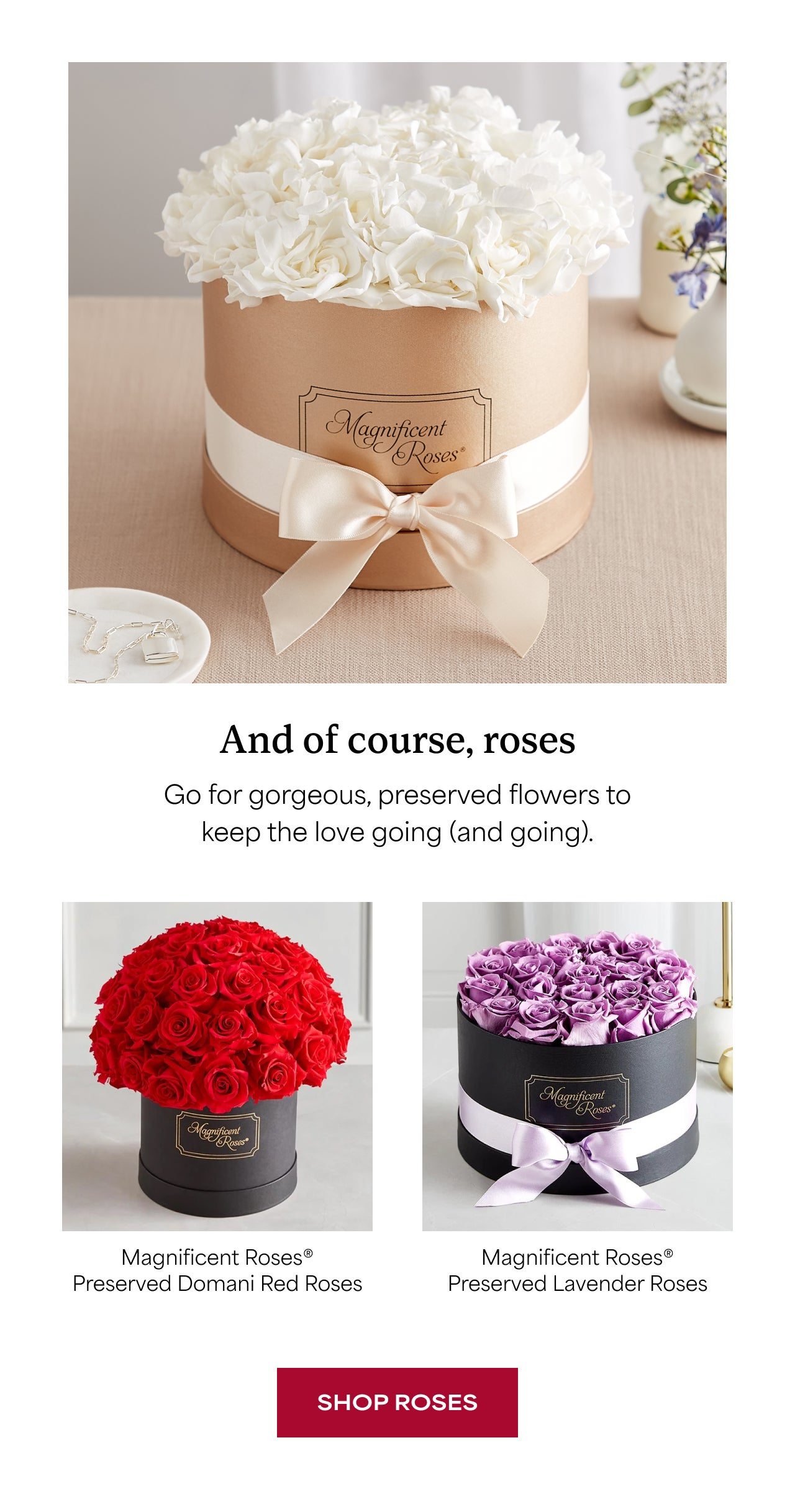 SHOP ROSES