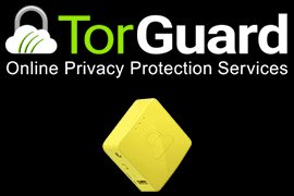 w/ Torguard 2-Year Global Anonymous VPN Service
