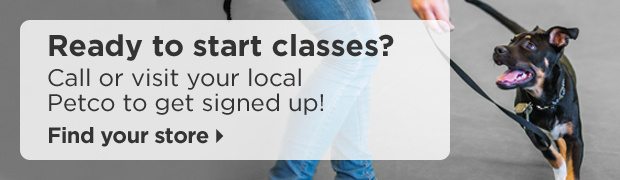 Ready to start classes? Call or visit your local Petco to get signed up! Find your store.