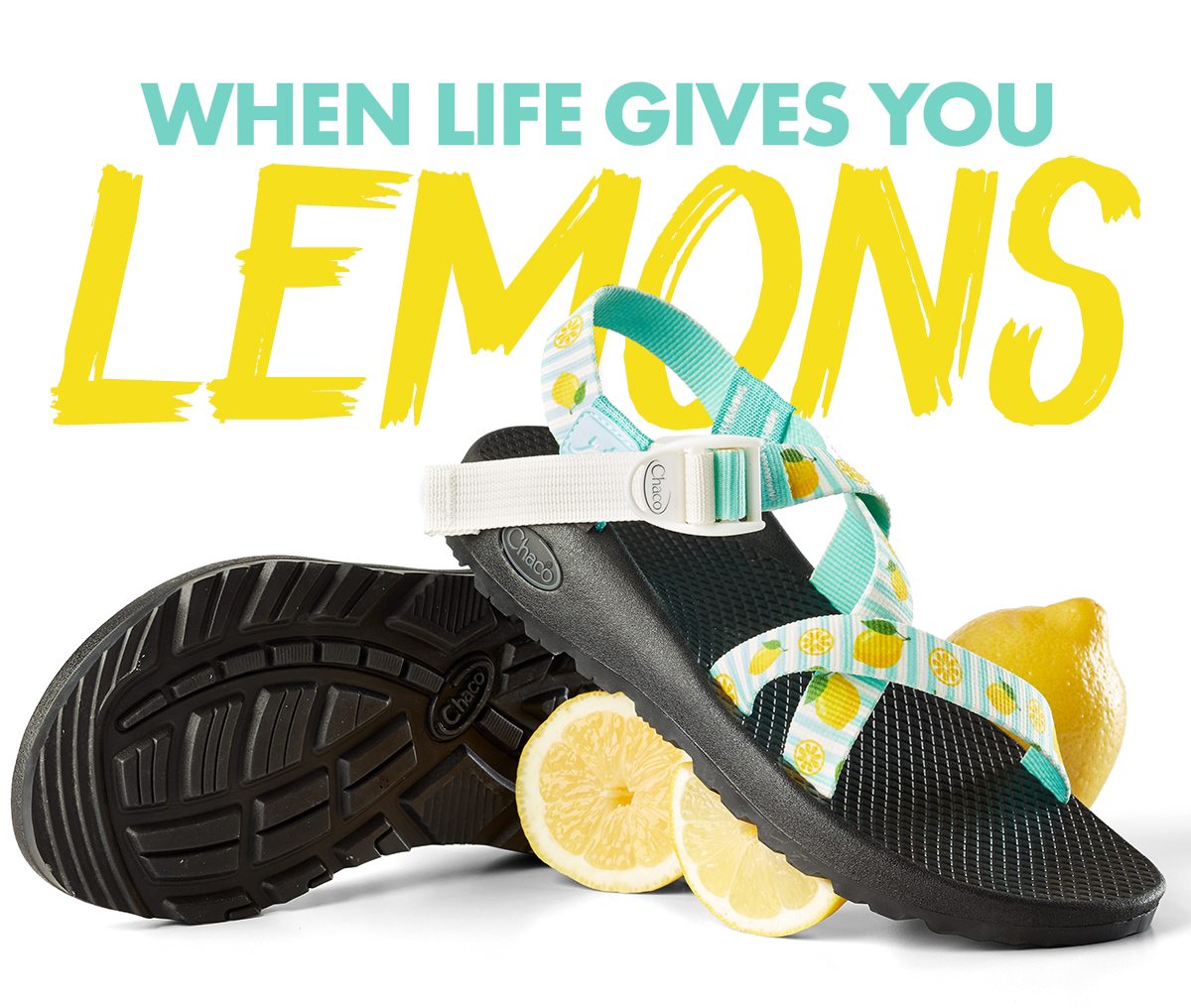 WHEN LIFE GIVES YOU LEMONS