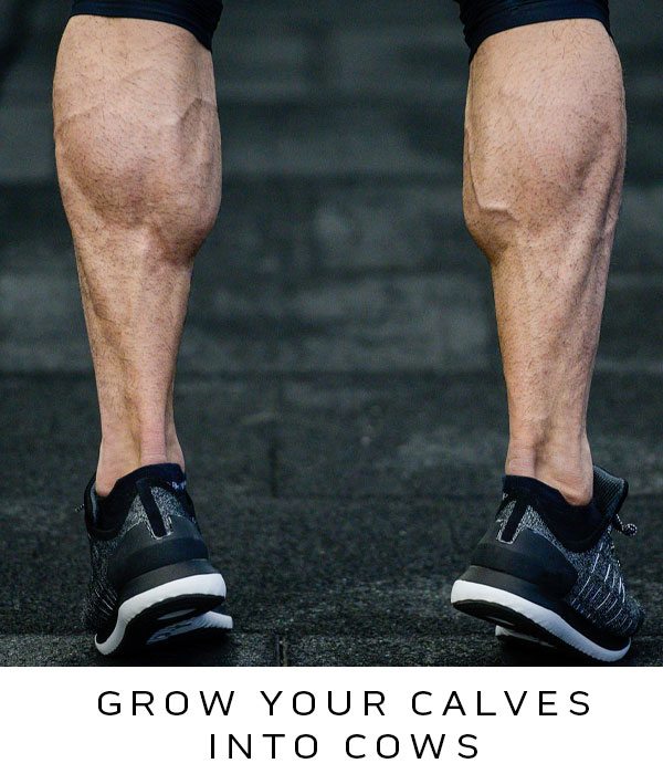 Grow your calves