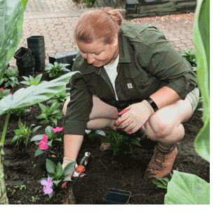 Clean Up Your Plant Beds