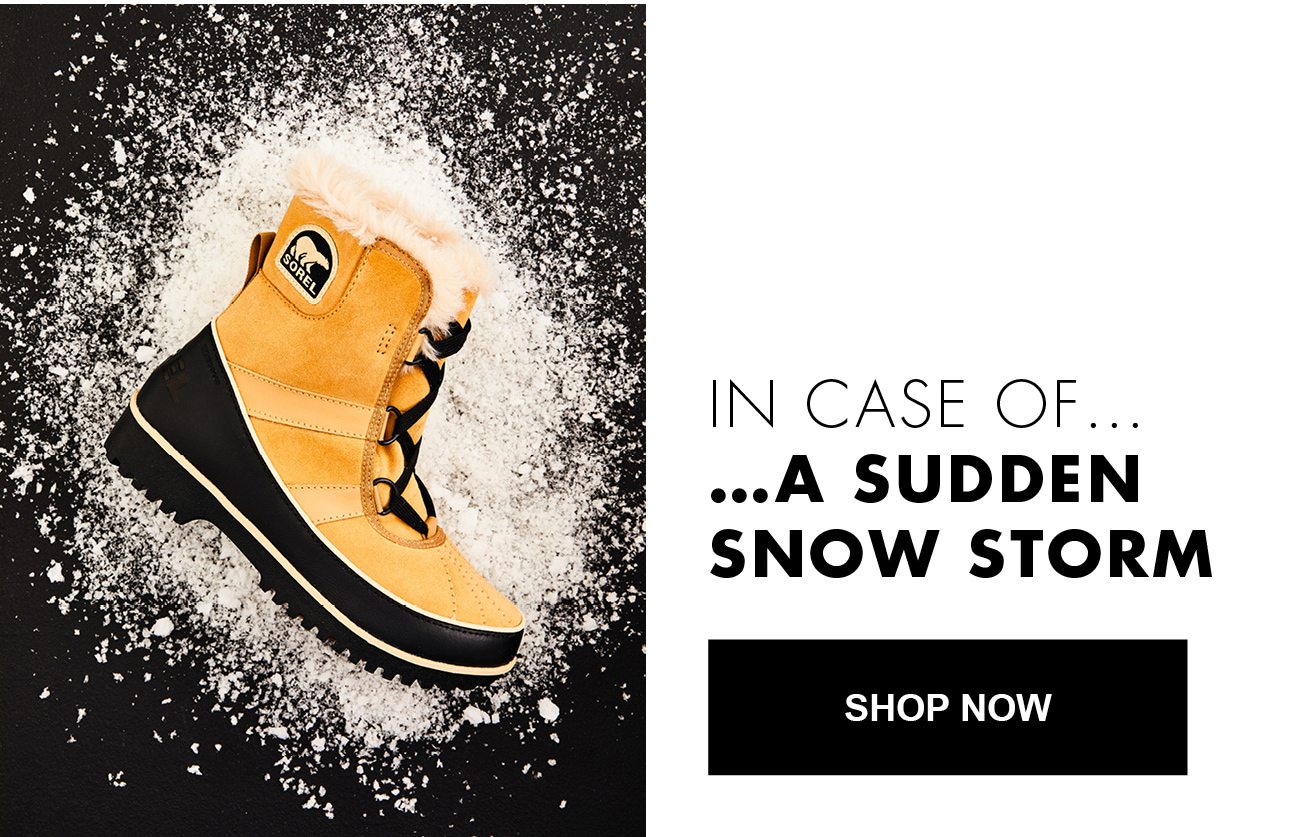 IN CASE OF A SUDDEN SNOW STORM | SHOP NOW