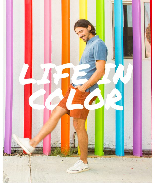 Life In Color