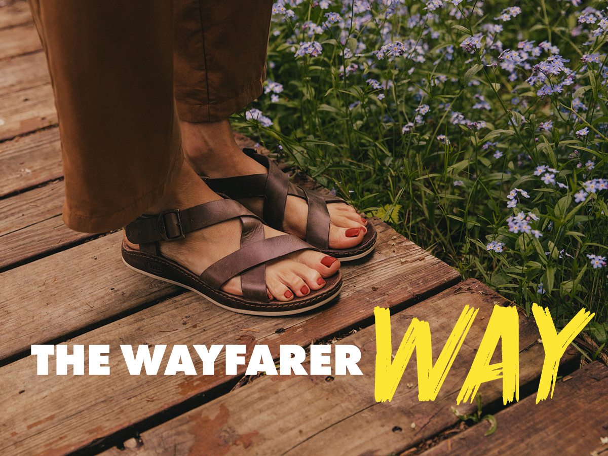 women's wayfarer