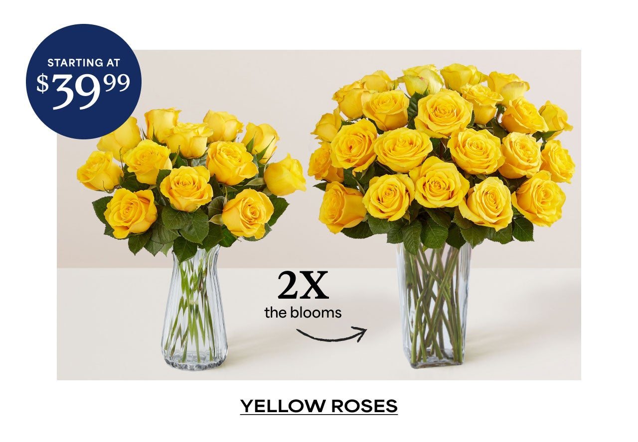 2x the Blooms | Yellow Roses