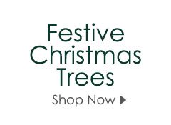 Festive Christmas Trees