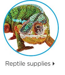 Reptile supplies.