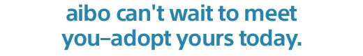 aibo can't wait to meet you—adopt yours today.