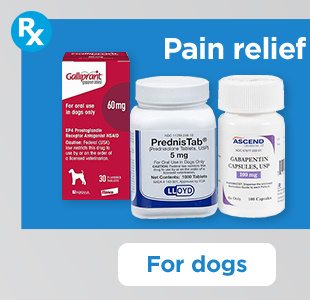 Pain relief & arthritis. For dogs.