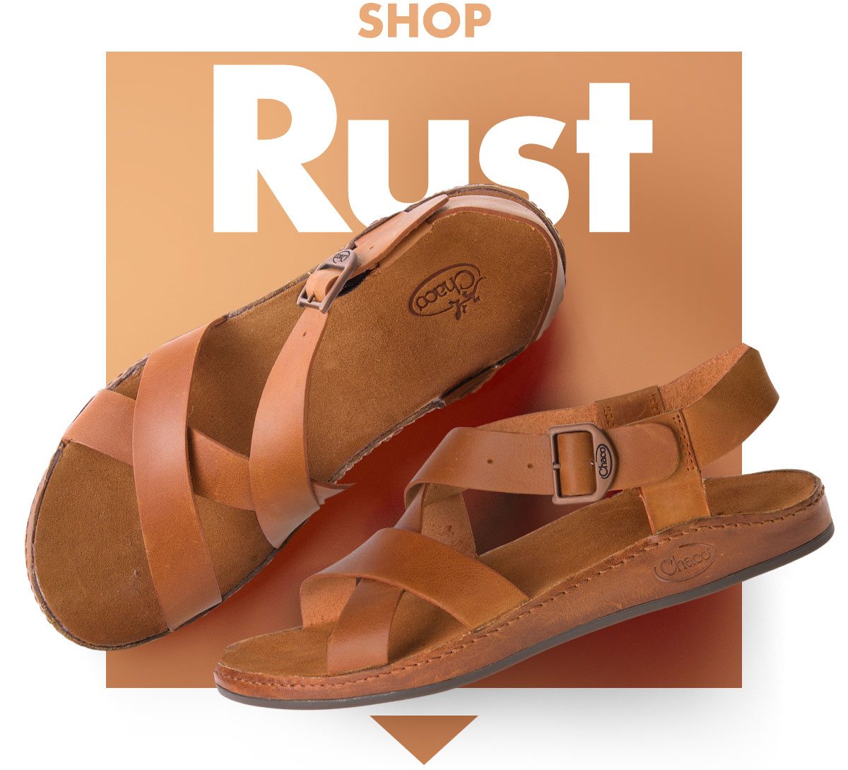 SHOP WAYFARER RUST