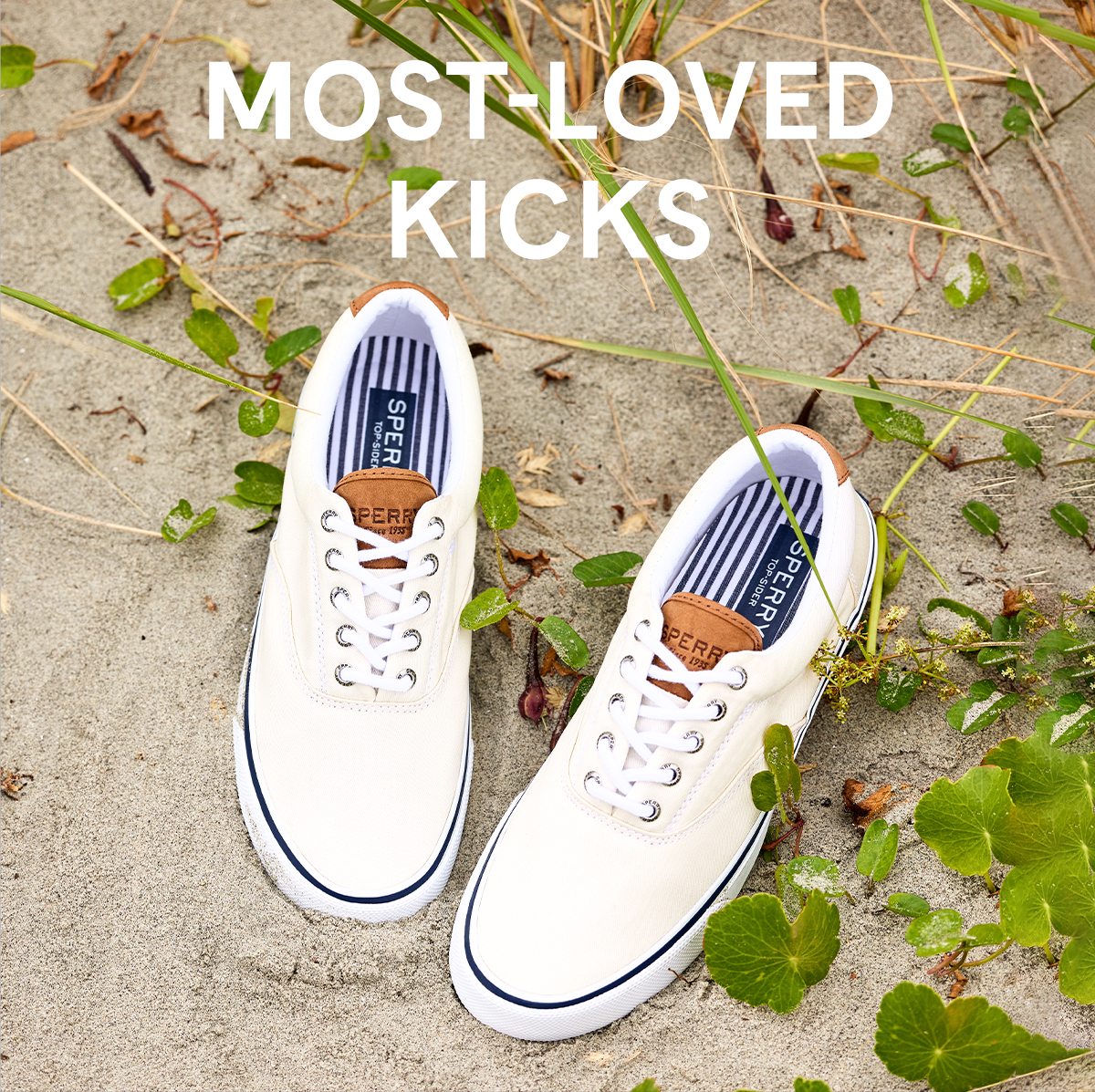 Most-loved kicked