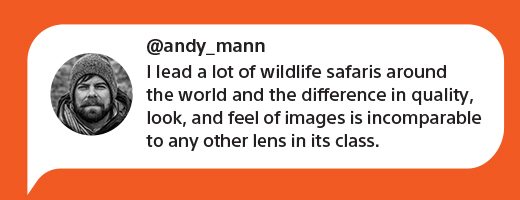 @andy_mann | I lead a lot of wildlife safaris around the world and the difference in quality, look, and feel of images is incomparable to any other lens in its class.