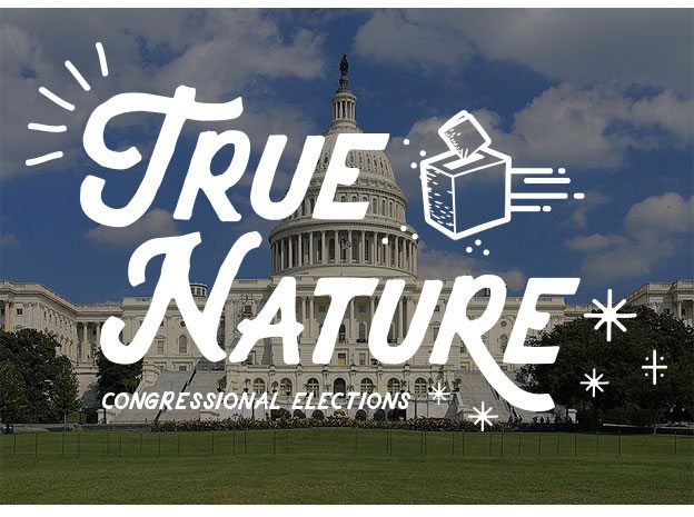 True Nature: Congressional Elections