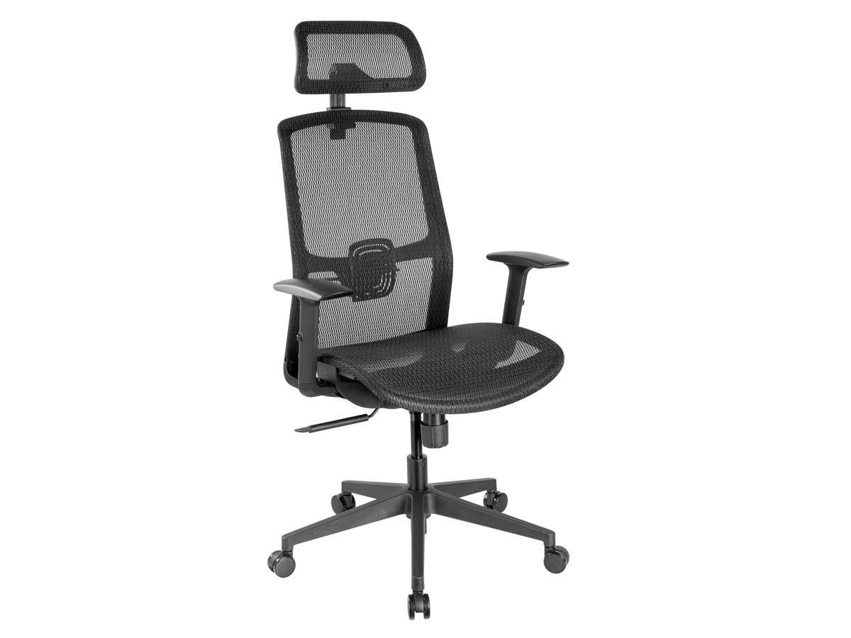 Ergonomic Home and Office Chair with Headrest and Mesh Seat