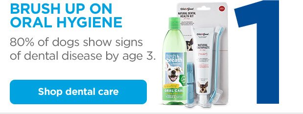 1. Brush up on oral hygiene. 80% of dogs show signs of dental disease by age 3. Shop dental care.