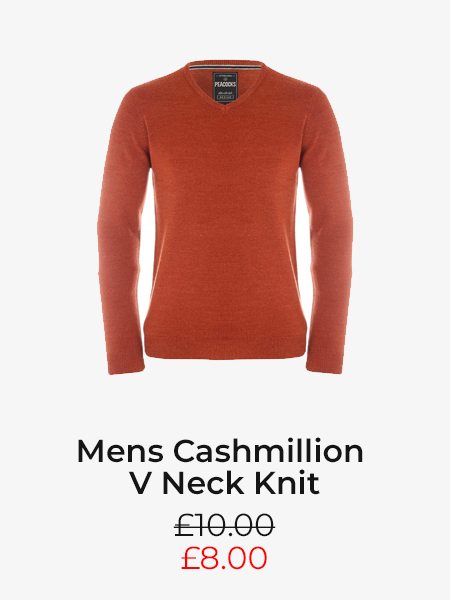 Mens Cashmillion V Neck Knit