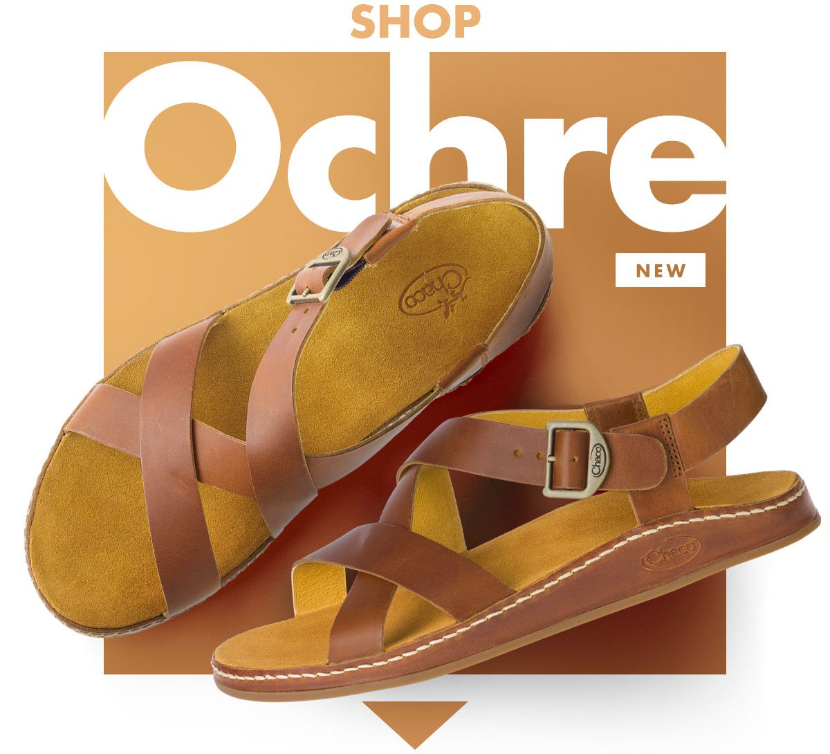 SHOP WAYFARER OCHRE