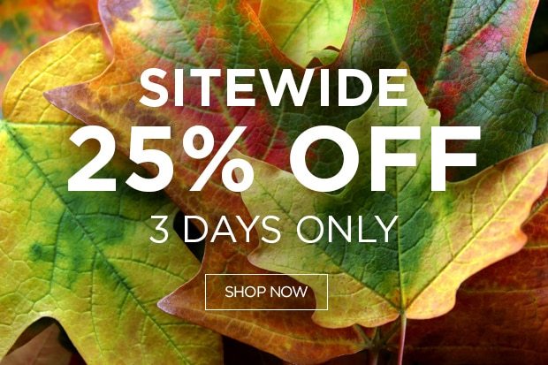 25% Sitewide