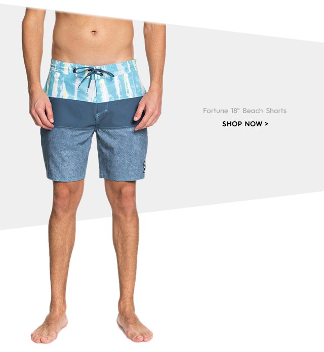 Product 2 - Fortune 18 In - Beach Shorts