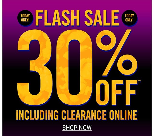 Flash Sale 30% Off