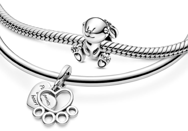 Pandora Moments Charms