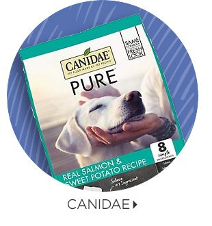 CANIDAE.