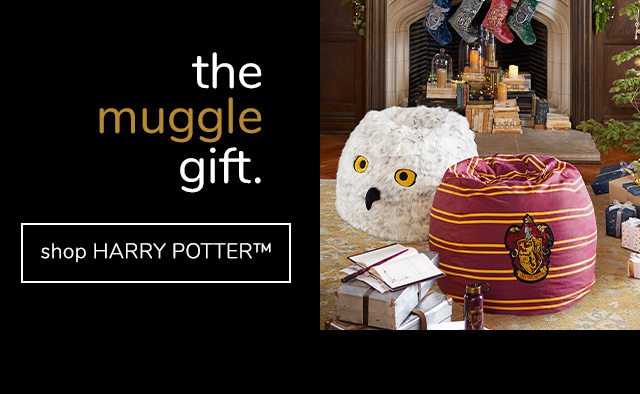 SHOP HARRY POTTER™