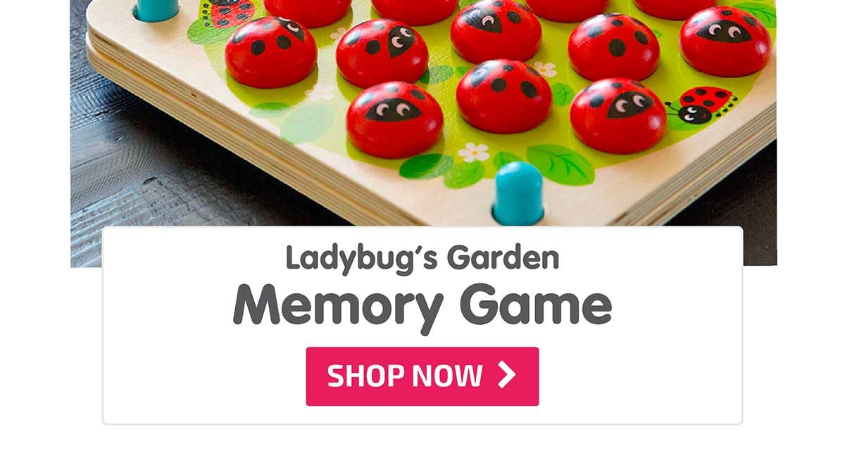 Ladybug’s Garden Memory Game - Shop Now