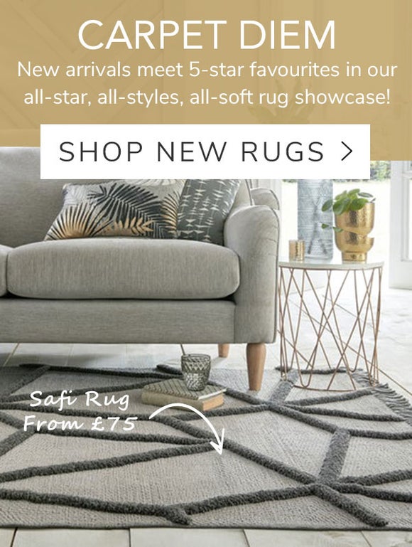 Carpet Diem - Shop New Rugs >