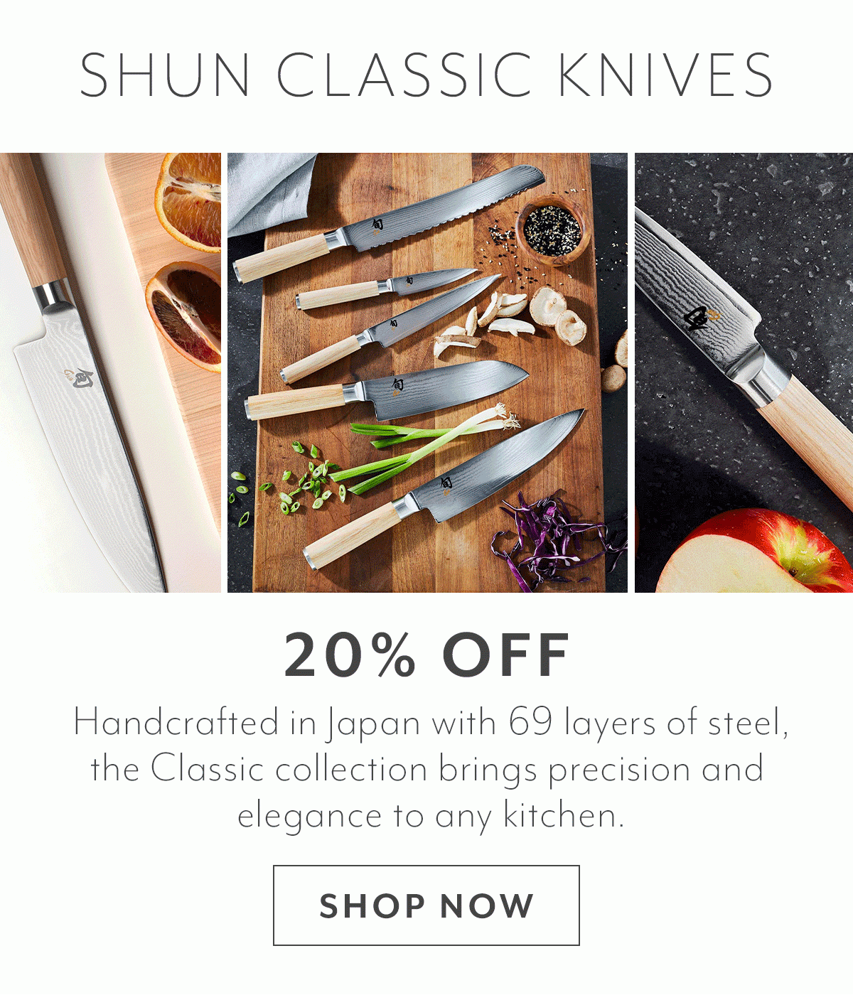 Shun Classic Knives