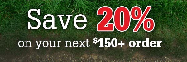 Save 20% on your next $150+ order