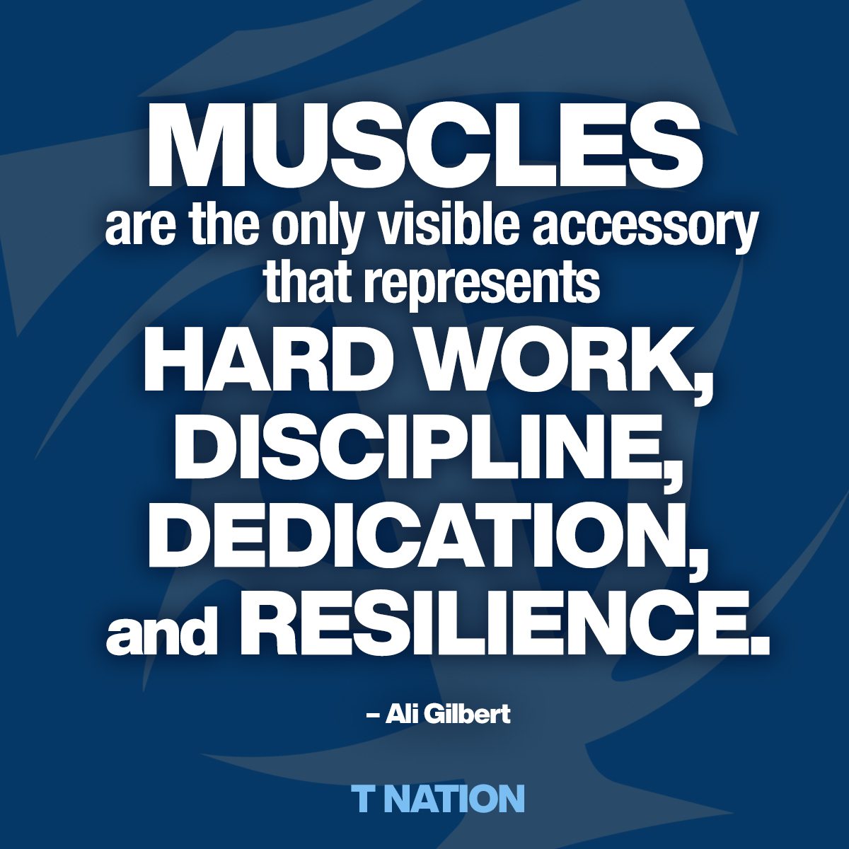 Muscles are the only visible accessory