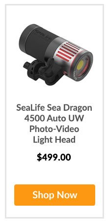 SeaLife Sea Dragon 4500 Auto UW Photo-Video Light Head - Shop Now