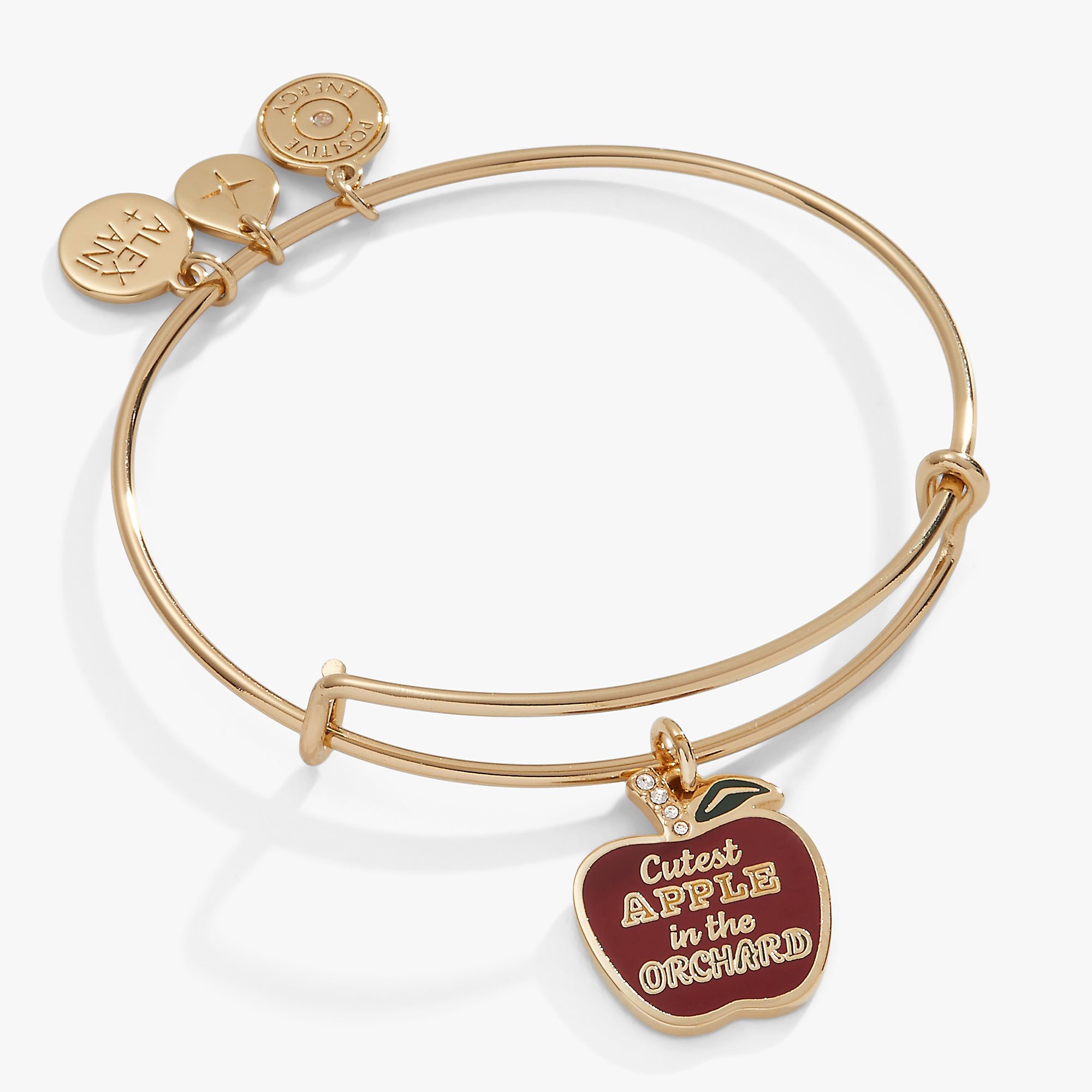 Image of Apple Orchard Charm Bangle