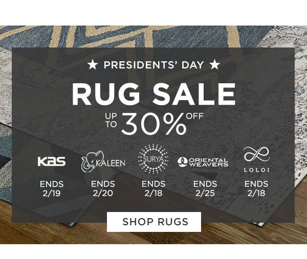 Presidents' Day - Rug Sale - Up To 30% Off - Kas Ends 2/19 - Kaleen Ends 2/20 - Surya Ends 2/18 - Oriental Weavers Ends 2/25 - Loloi Ends 2/18 - Shop Rugs