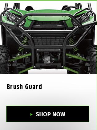 Brush Guard