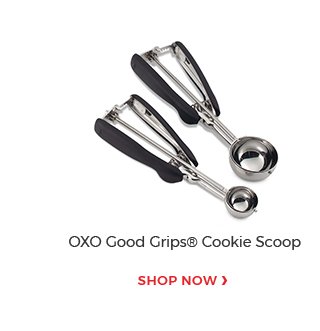 Oxo Good Grips(R) Cookie Scoop.shop now