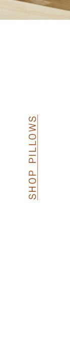Shop pillows.