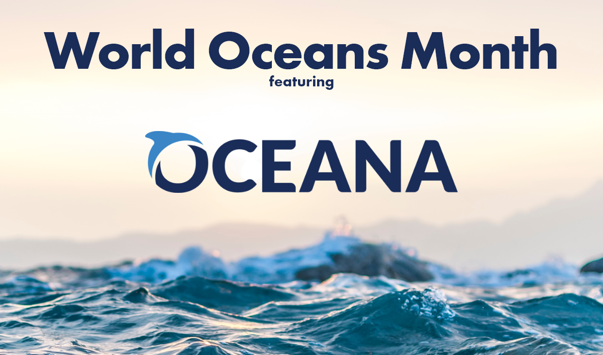 WORLD OCEANS MONTH IMG