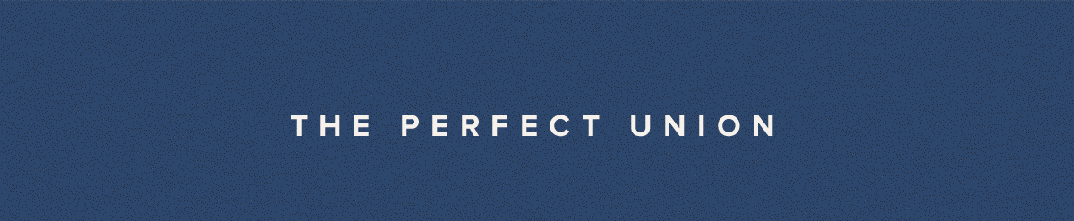 THE PERFECT UNION