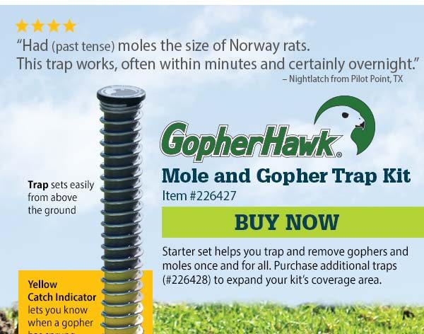 GopherHawk® Mole and Gopher Trap Kit - Item #226427 - Starter set helps you trap and remove gophers and moles once and for all. Purchase additional traps (#226428) to expand your kit's coverage area. | BUY NOW