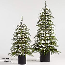 Faux Potted Hemlock Small Pre-Lit LED Christmas Tree