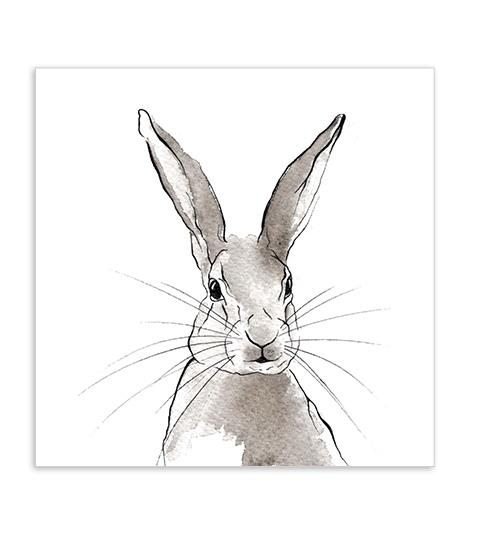Claire Baird Mountain Hare Canvas