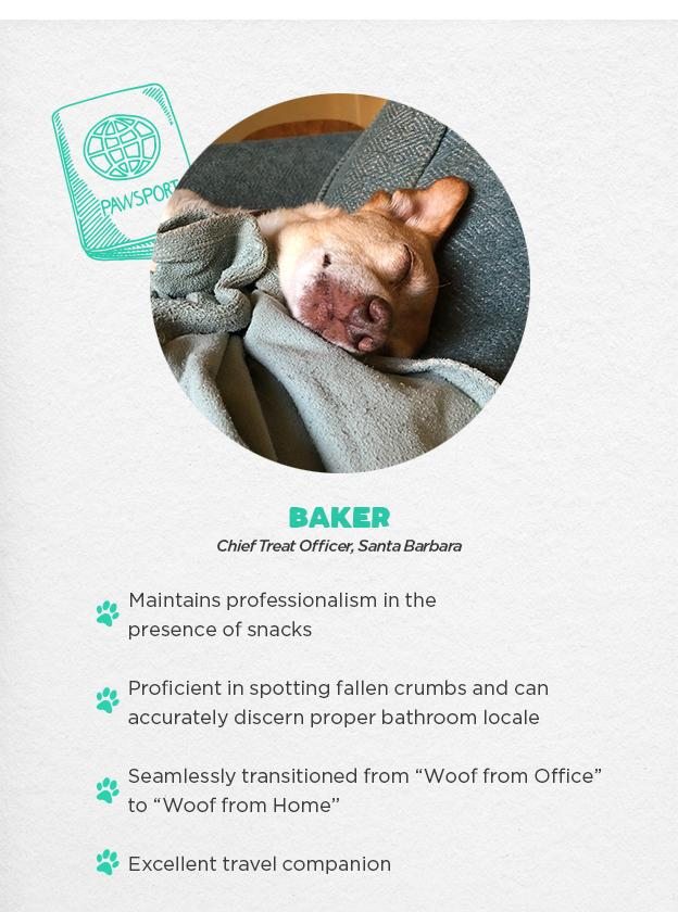 Baker - Chief Treat Officer