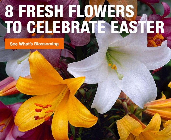 8 FRESH FLOWERS TO CELEBRATE EASTER