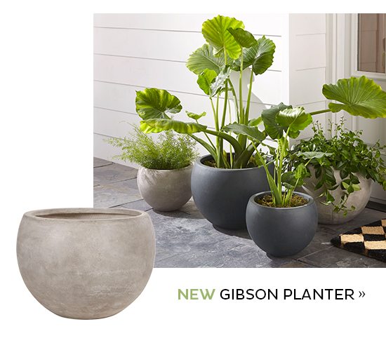 Gibson Planter